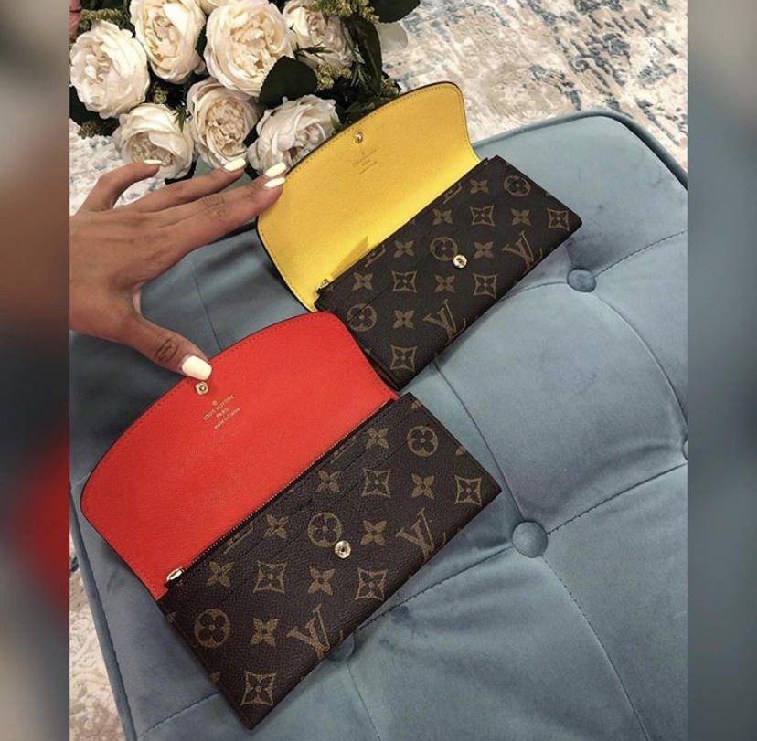 Louis Vuitton money wallet