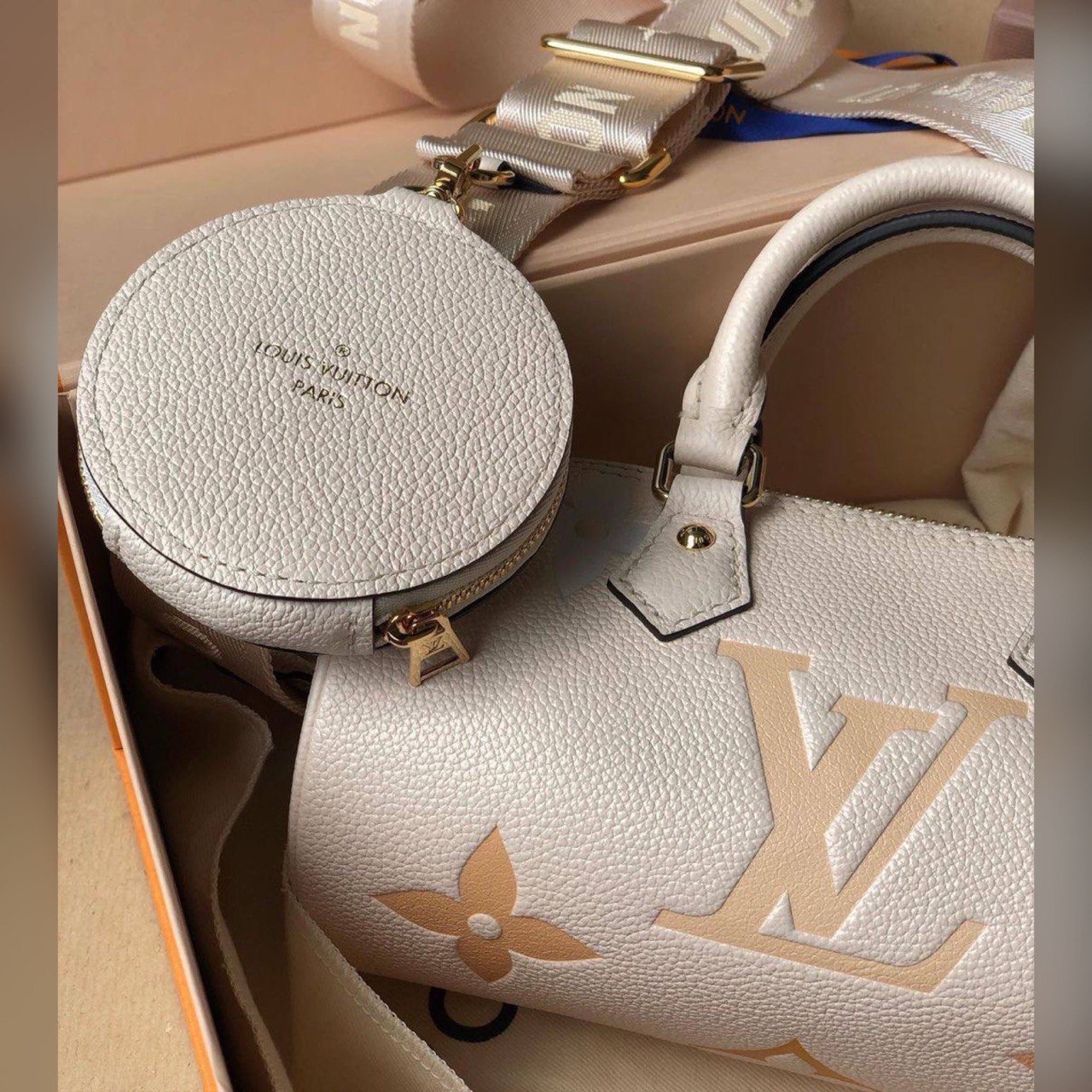 Louis Vuitton bag