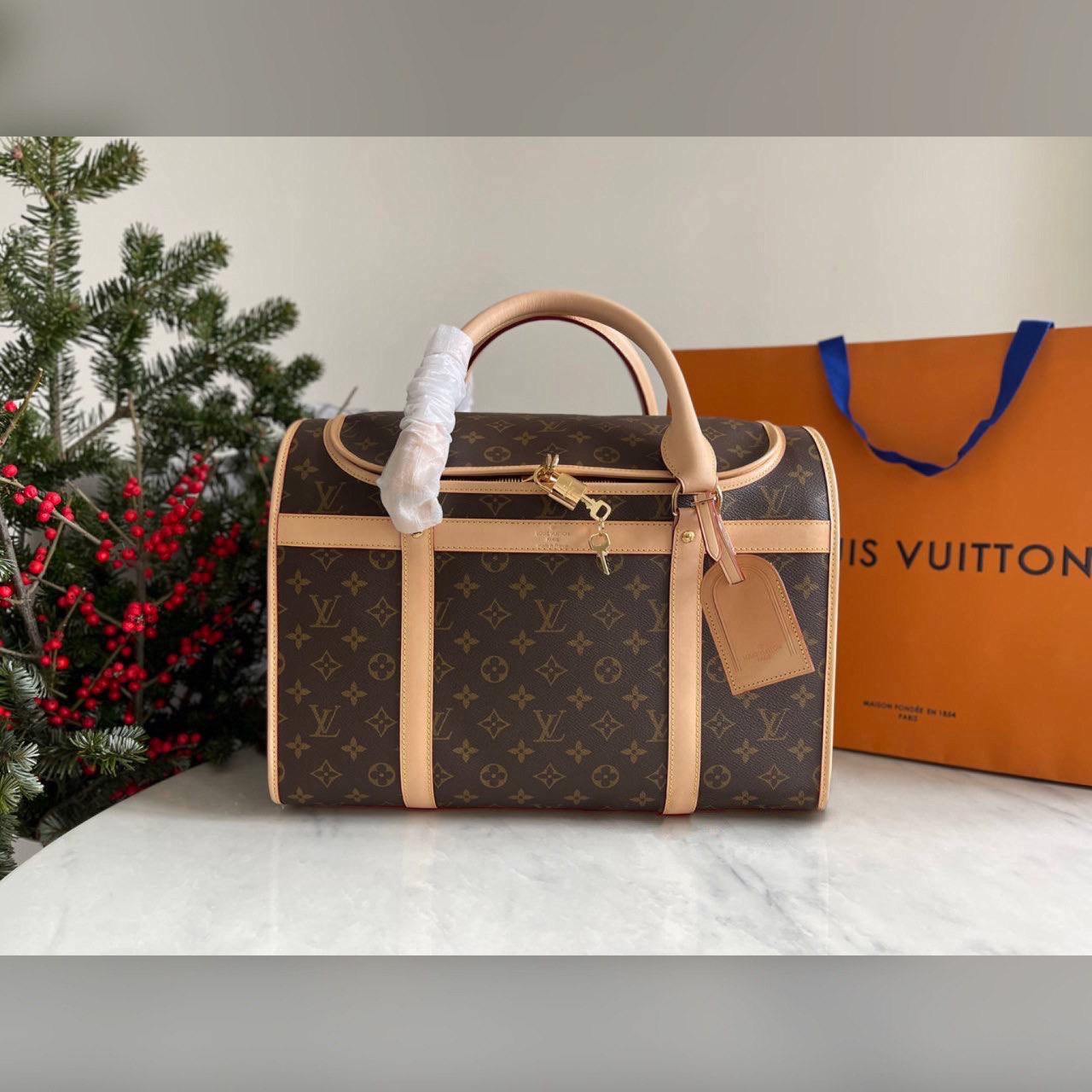 Louis Vuitton for pets bag