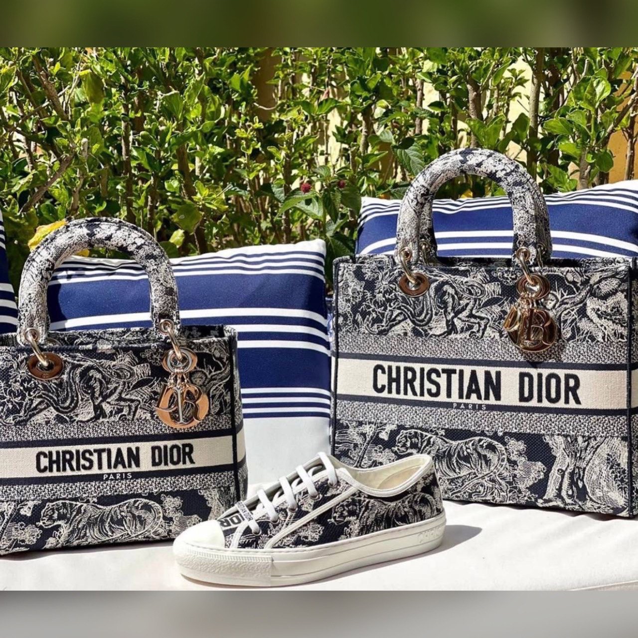 Christian Dior shoes & bag