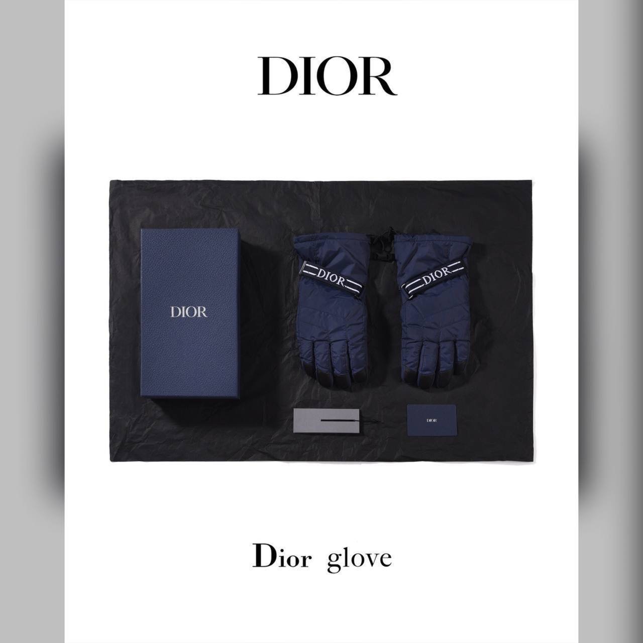 Christian Dior accessories