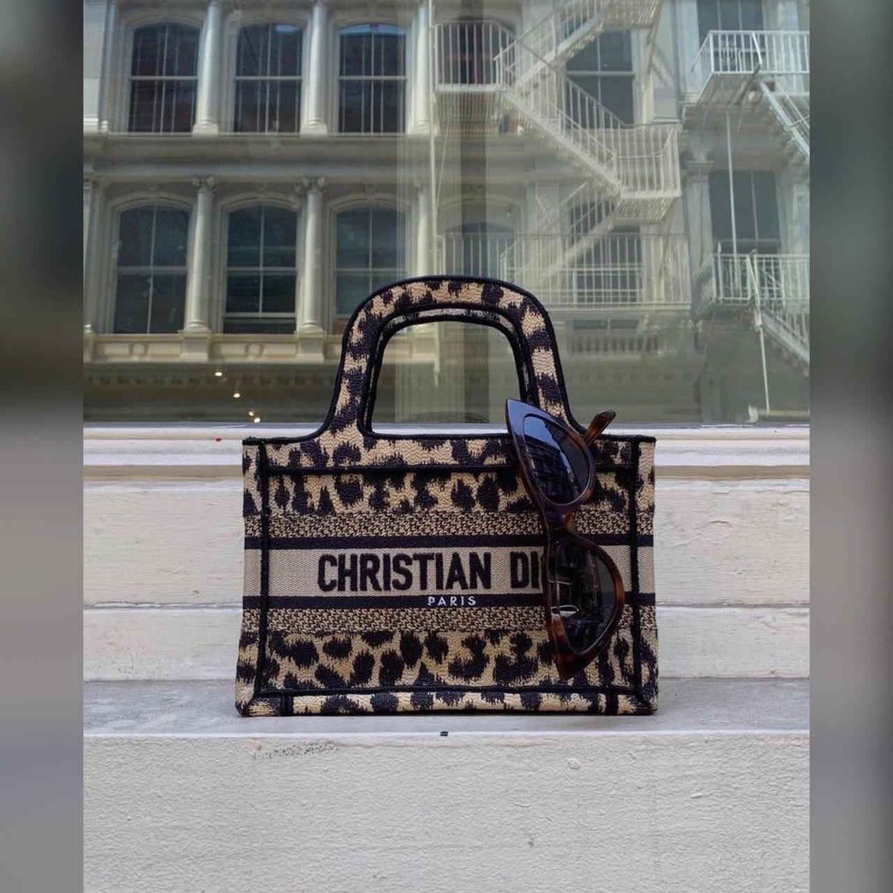 Christian Dior bag