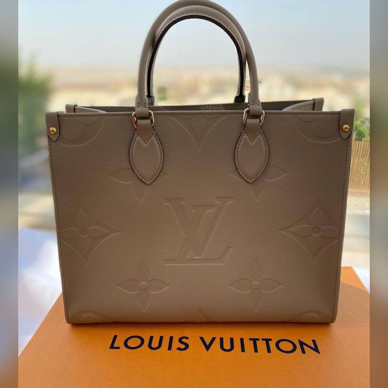 Louis Vuitton bag