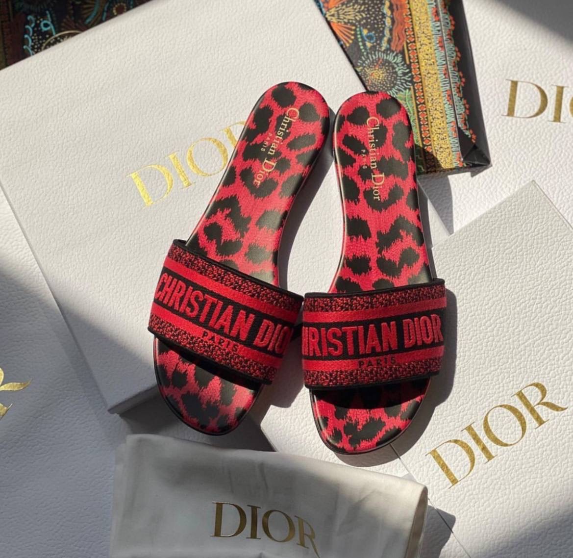 Christian Dior shoes