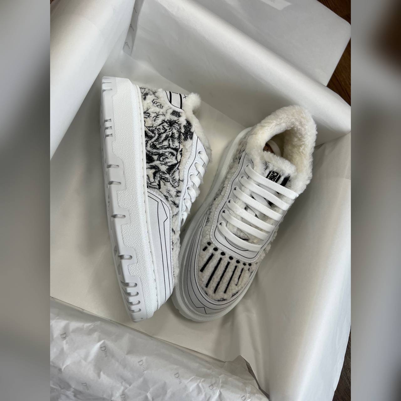 Christian Dior shoes