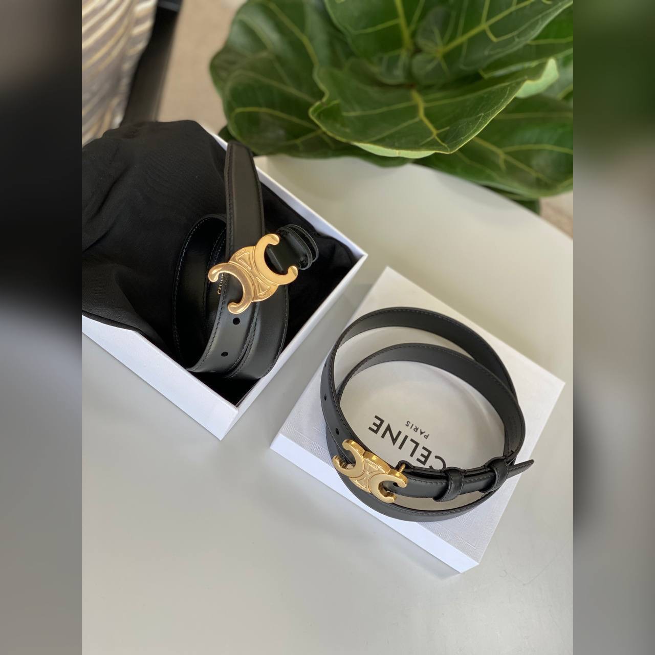Celine accessories