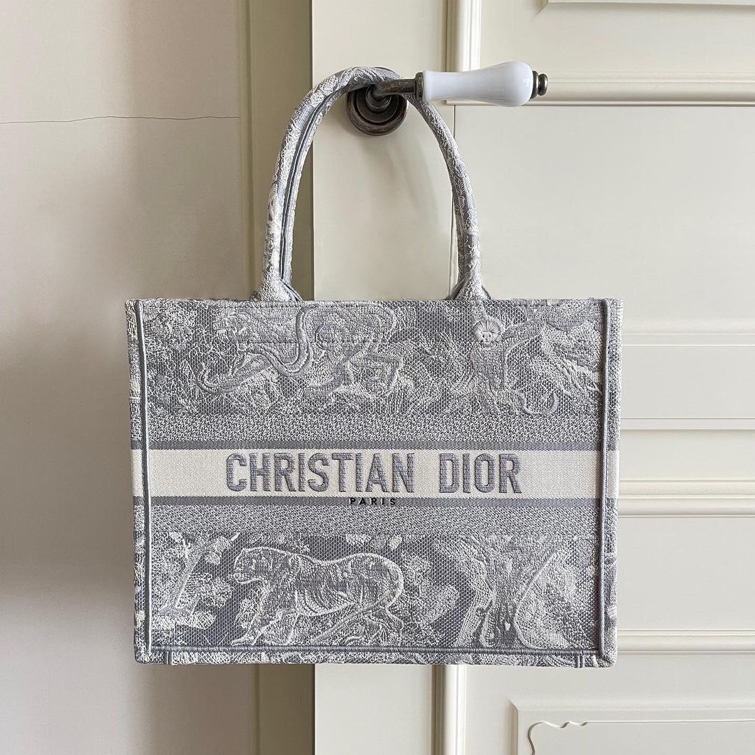 Christian Dior bag