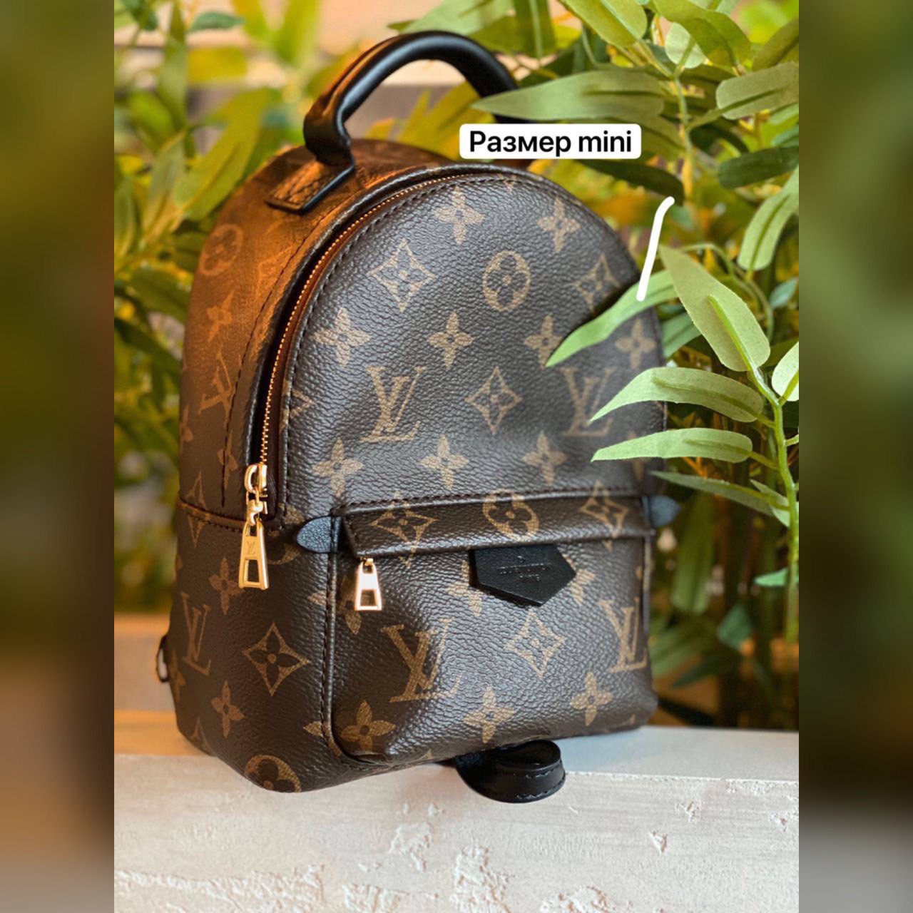 Louis Vuitton bag