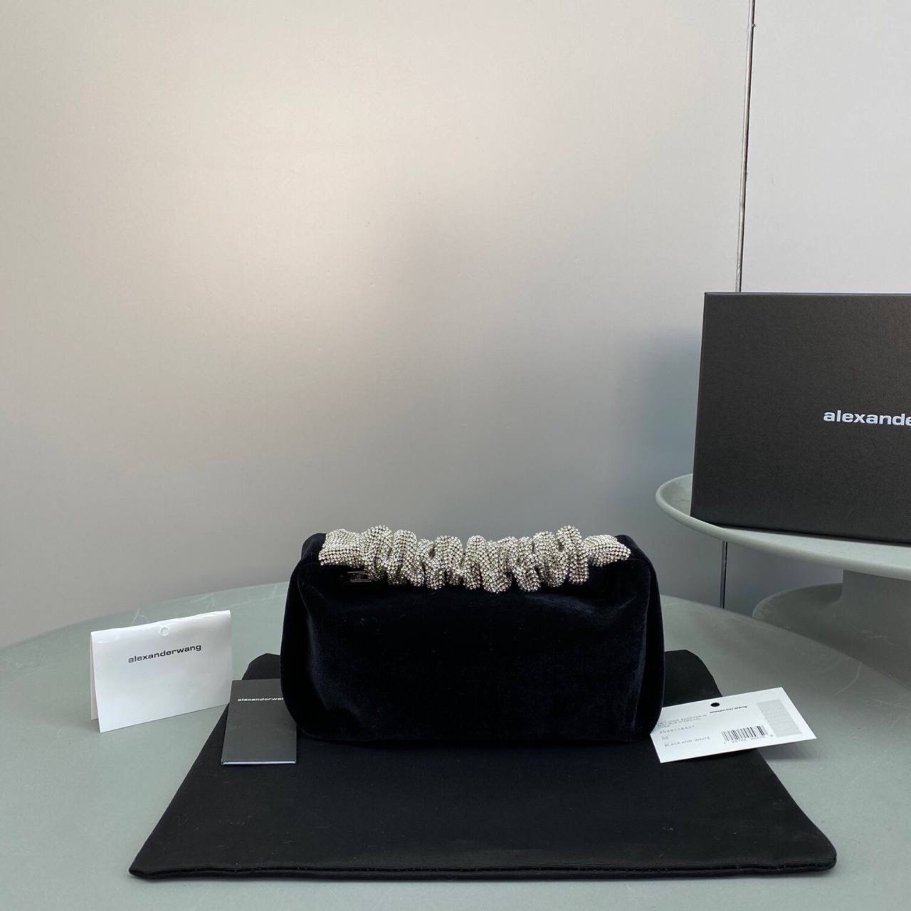 Alexander Wang bag