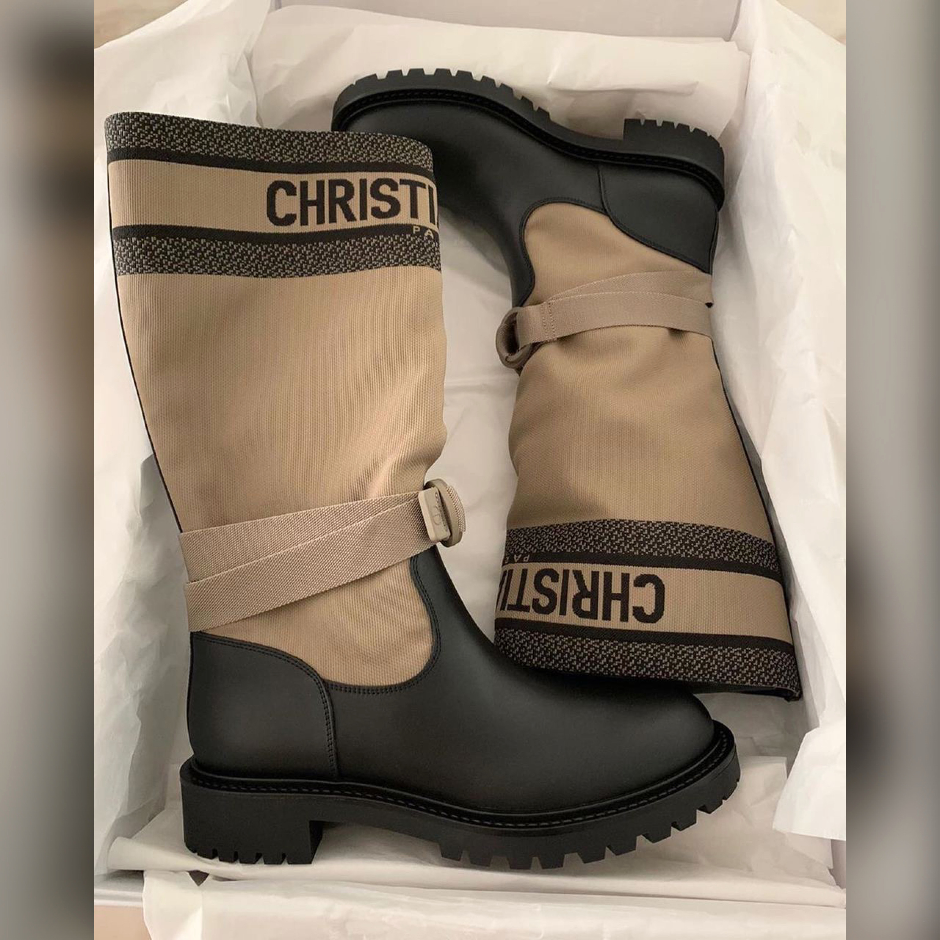 Christian Dior shoes