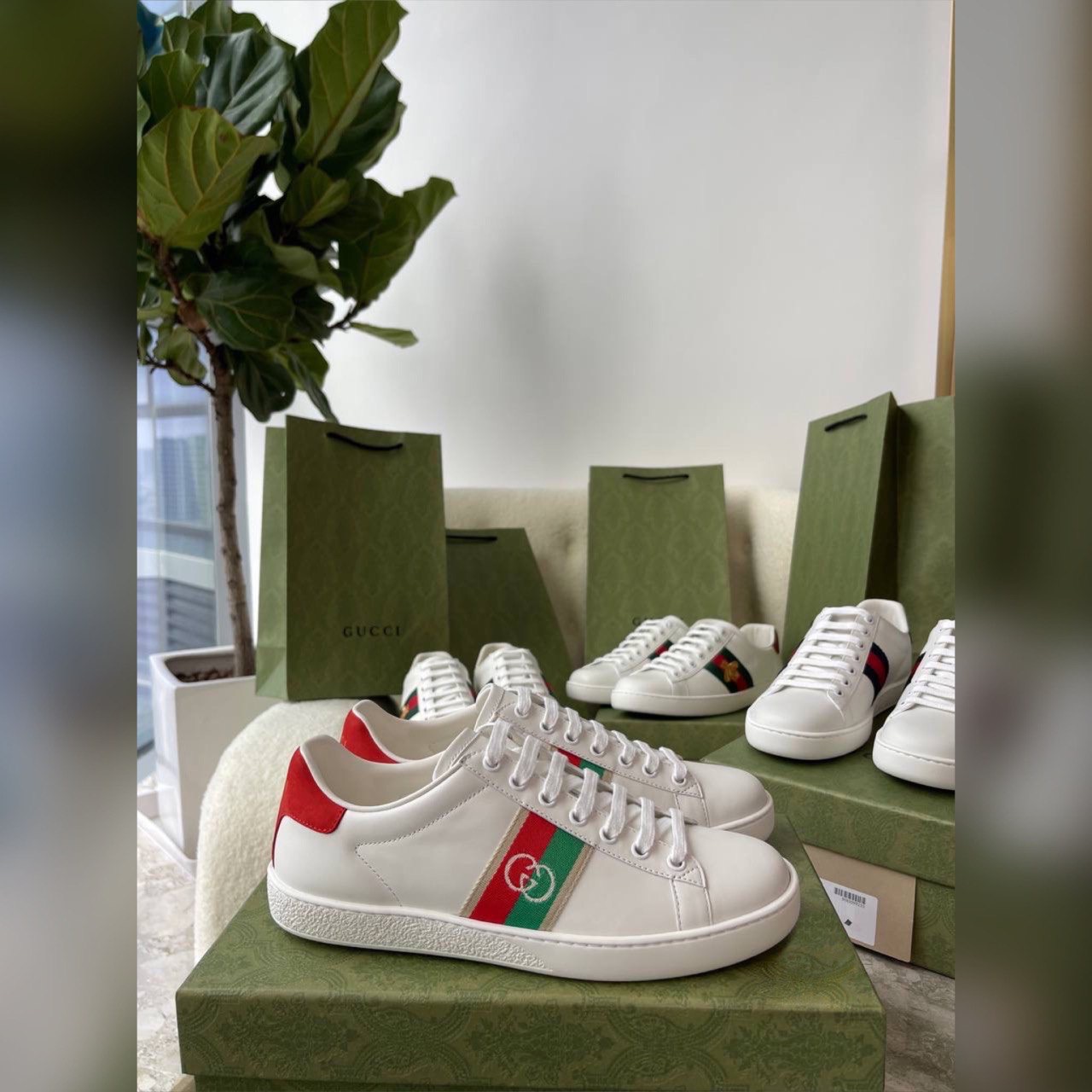 Gucci shoes