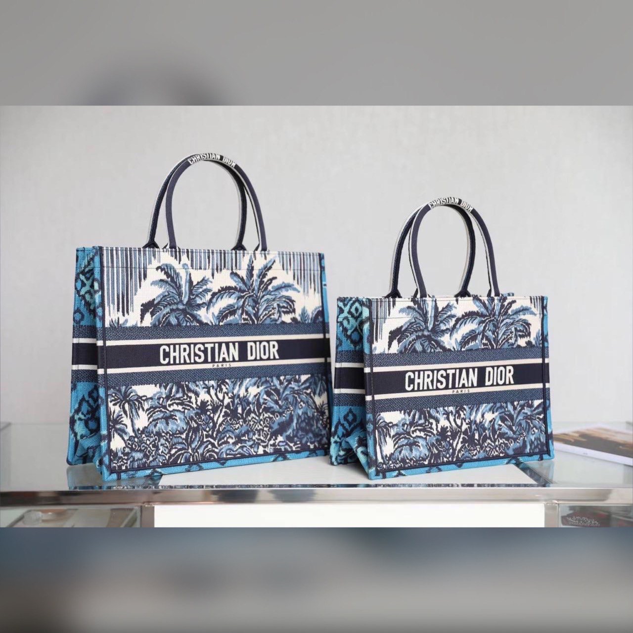 Christian Dior bag
