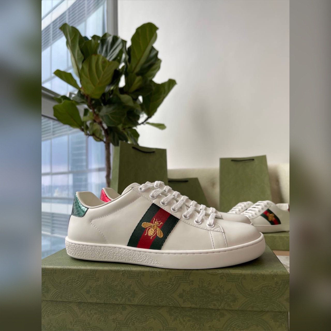 Gucci shoes