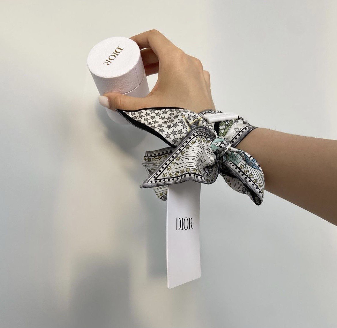 Christian Dior accessories