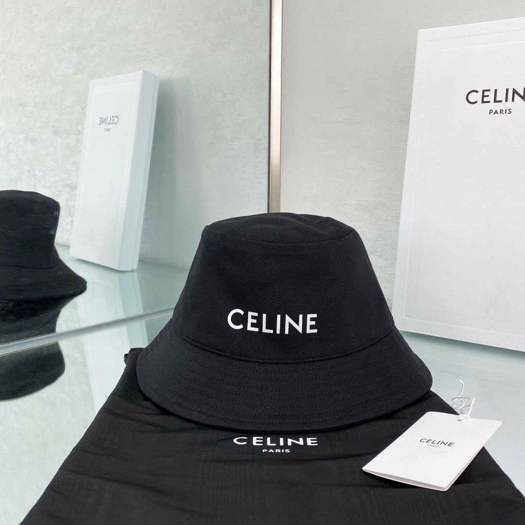 Celine accessories