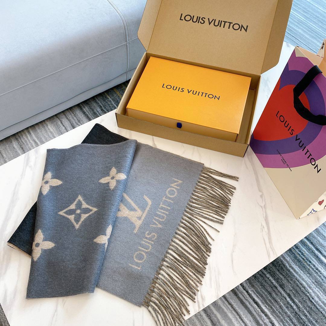 Louis Vuitton accessories