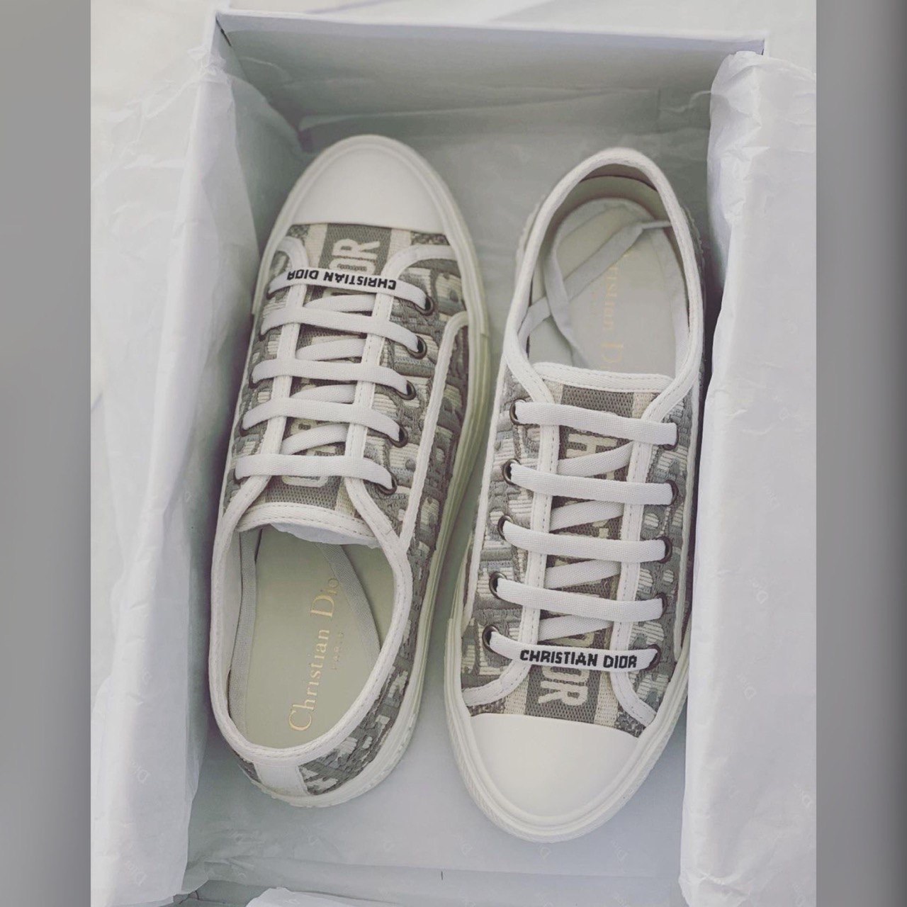 Christian Dior shoes