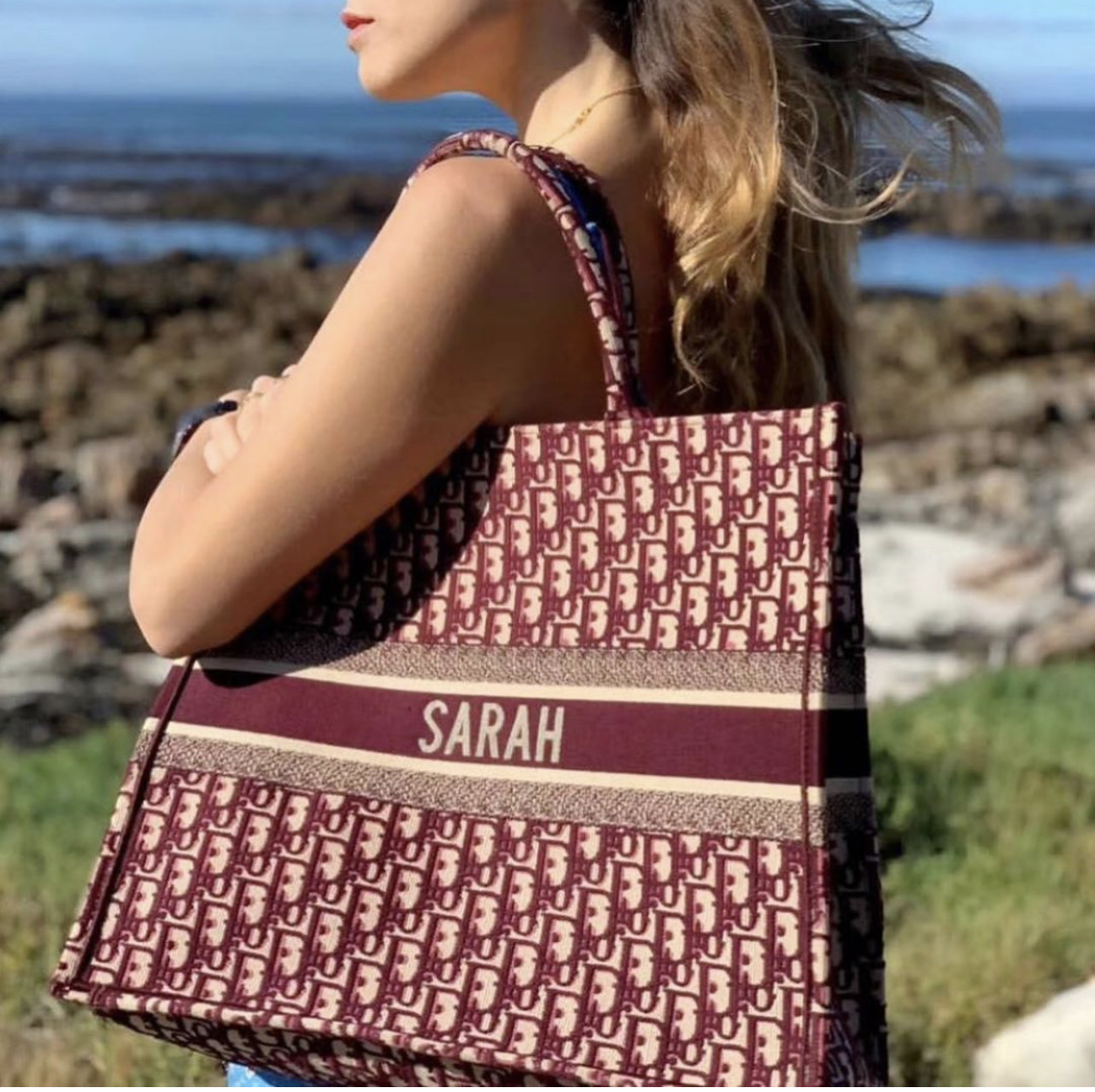 Christian Dior Bag