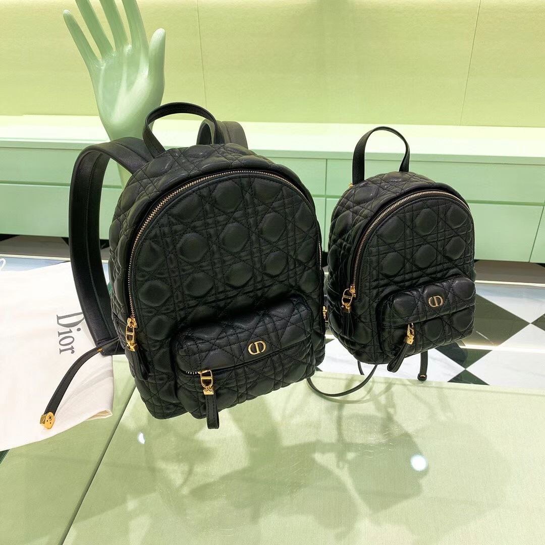 Christian Dior bag