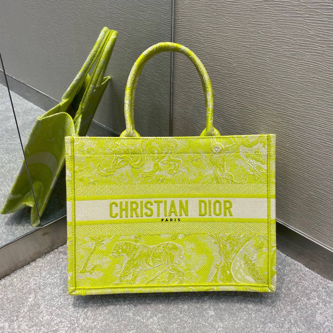 Christian Dior bag
