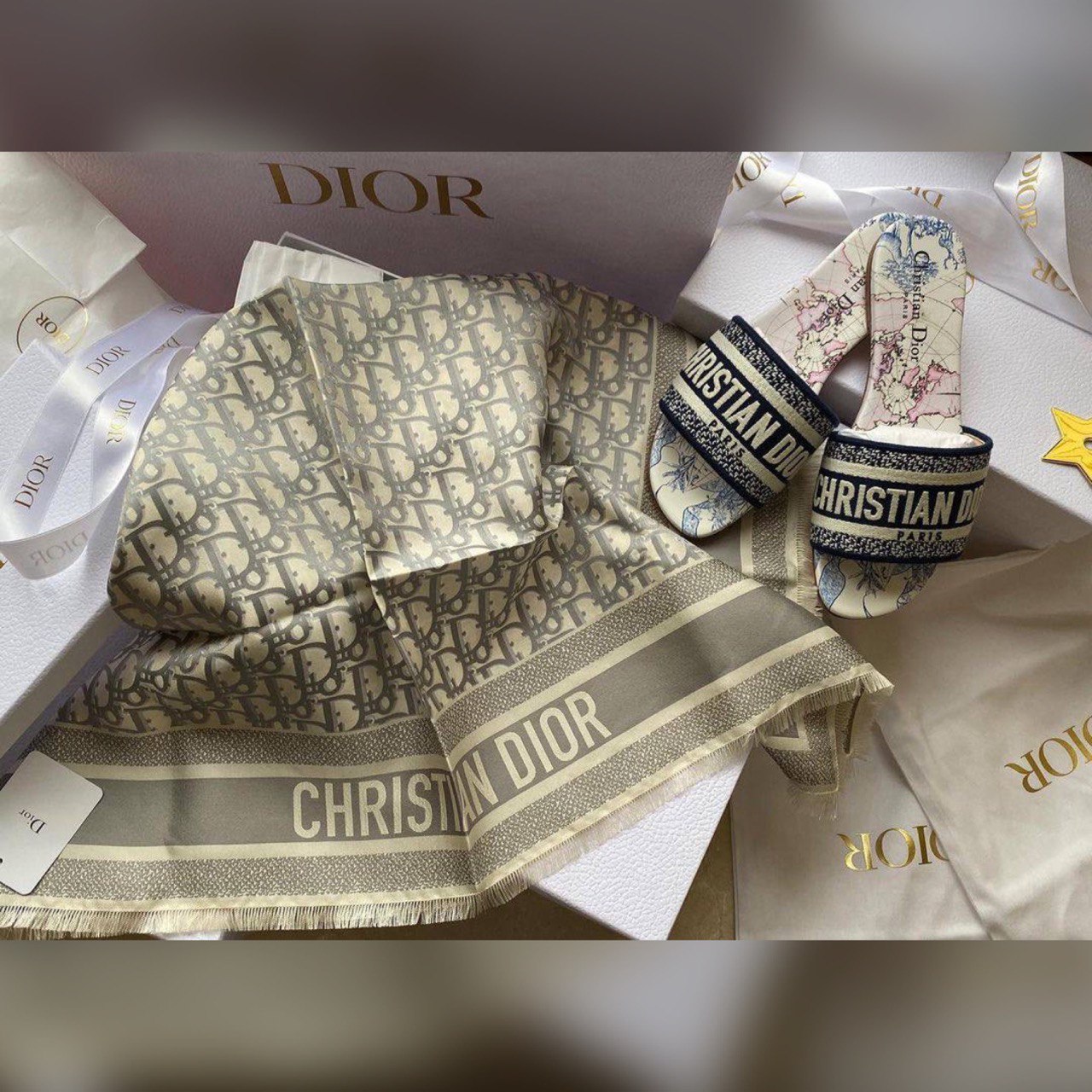 Christian Dior accessories & shoes