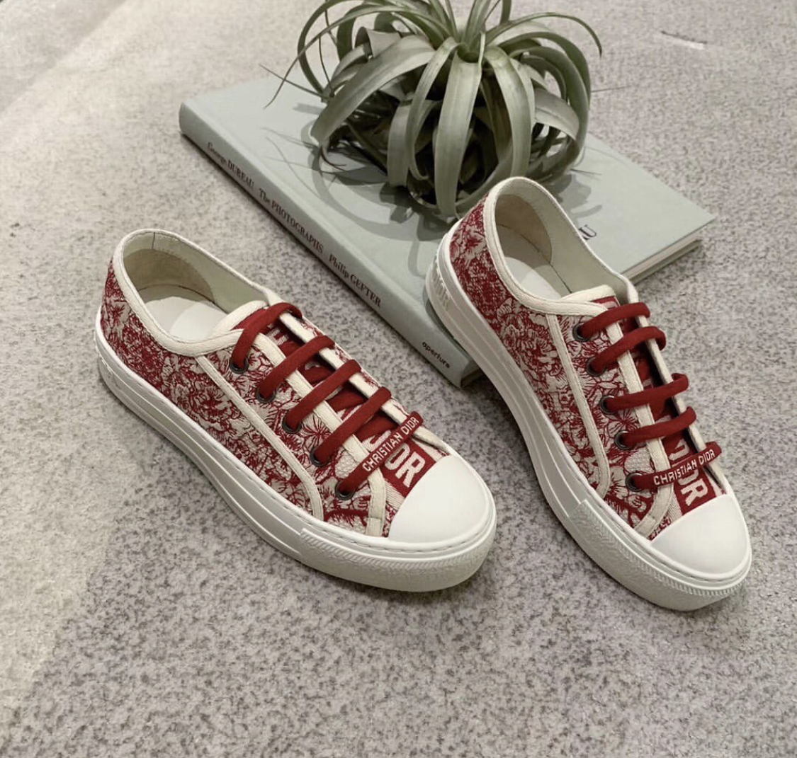 Christian Dior Shoes