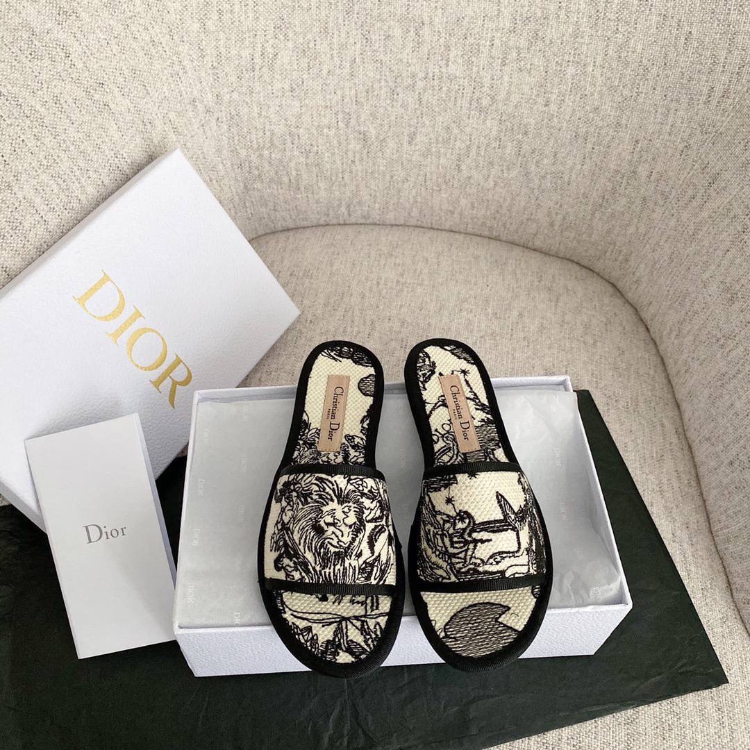 Christian Dior shoes