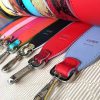 Louis Vuitton Bag Belt