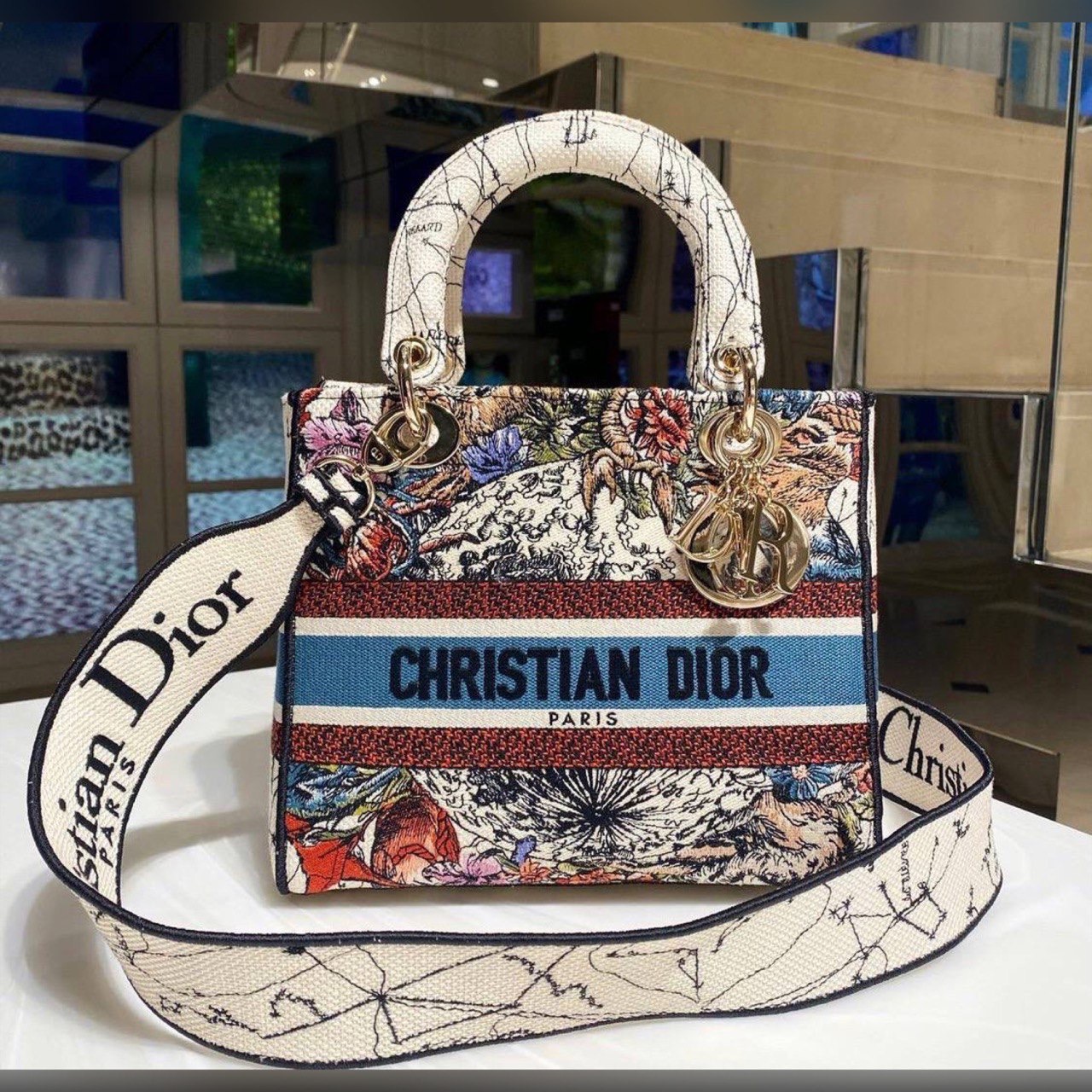 Christian Dior bag
