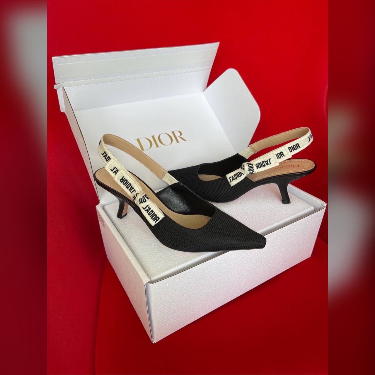 Christian Dior shoes