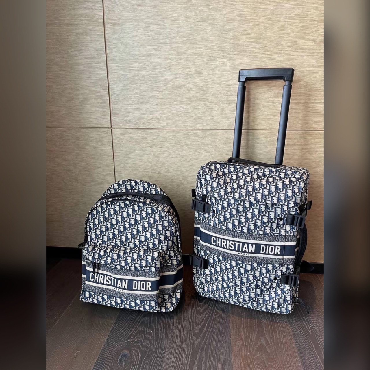 Christian Dior bags