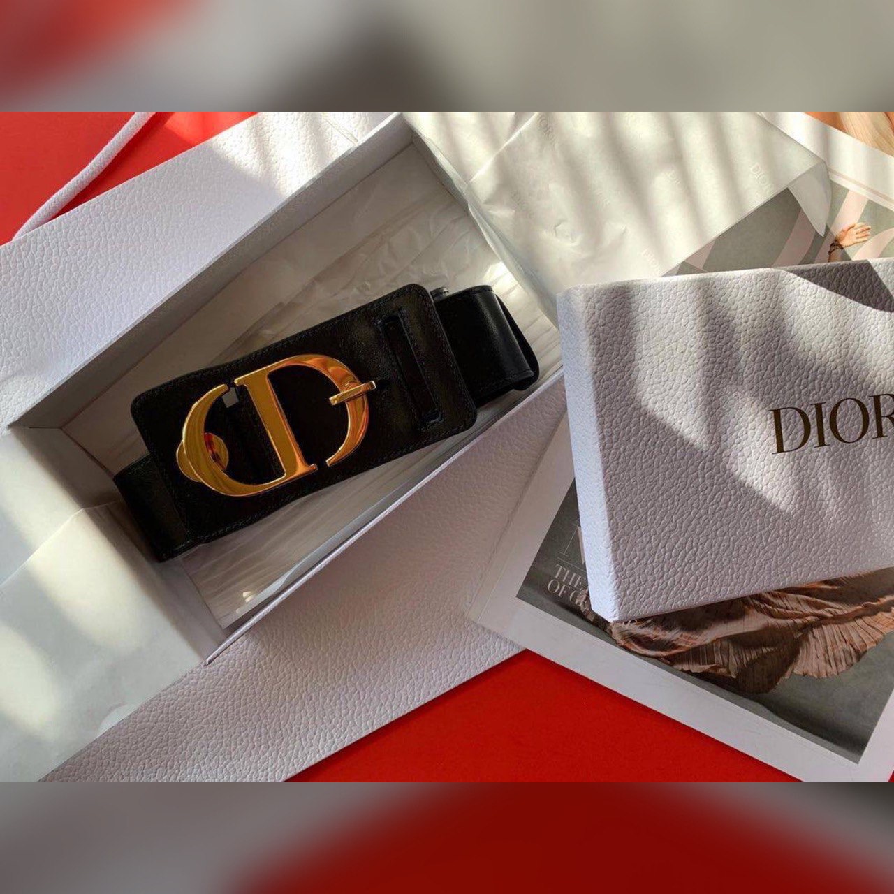 Christian Dior accessories