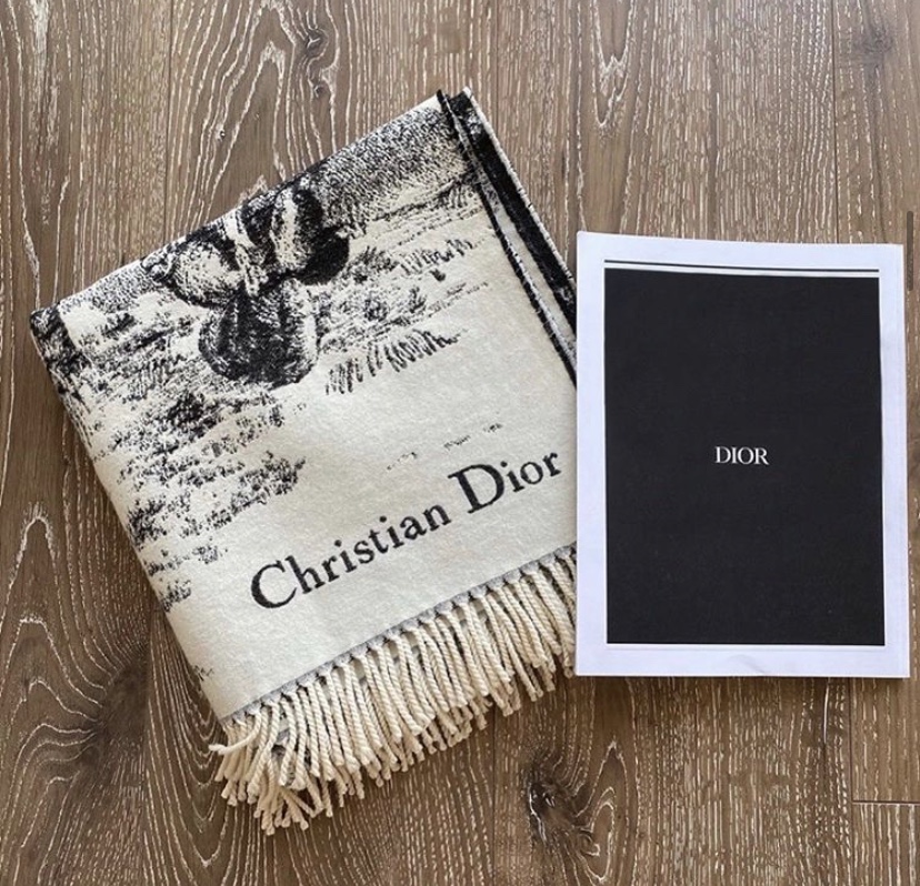 Christian Dior accessories