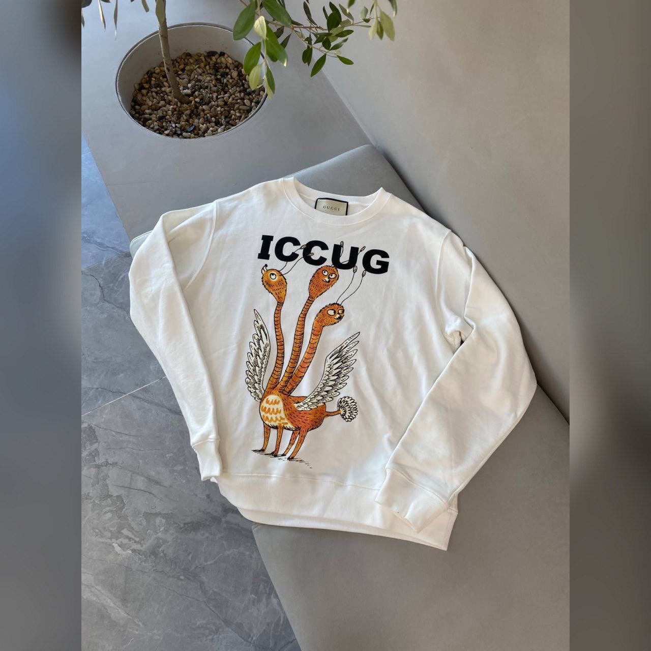 Gucci wear