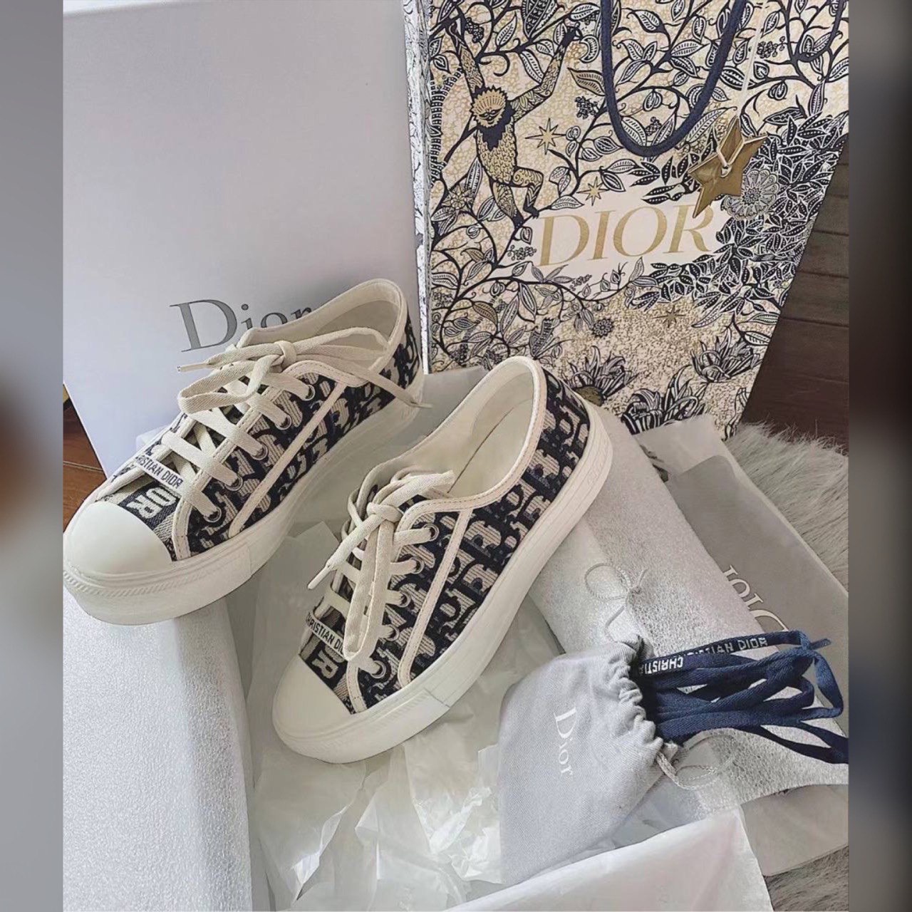 Christian Dior shoes