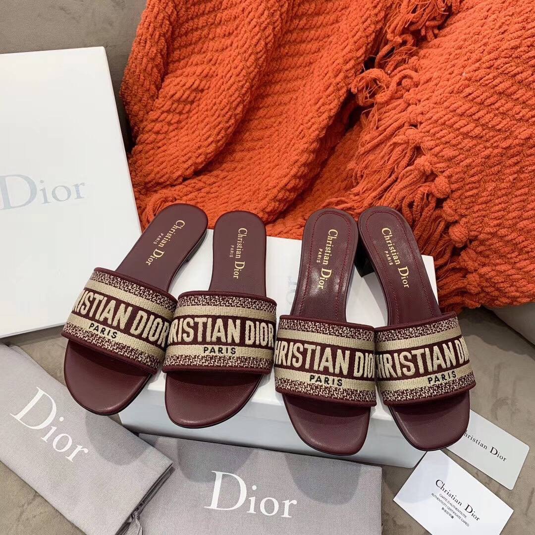 Christian Dior shoes