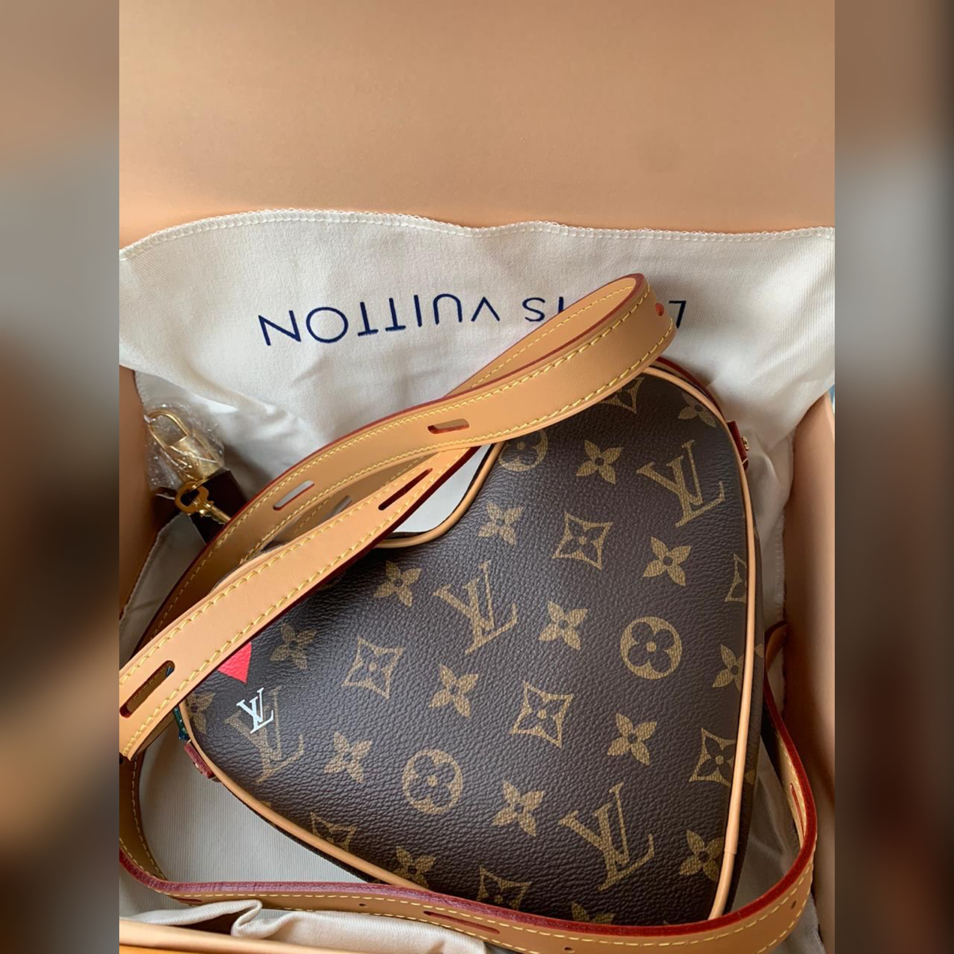 Louis Vuitton bags