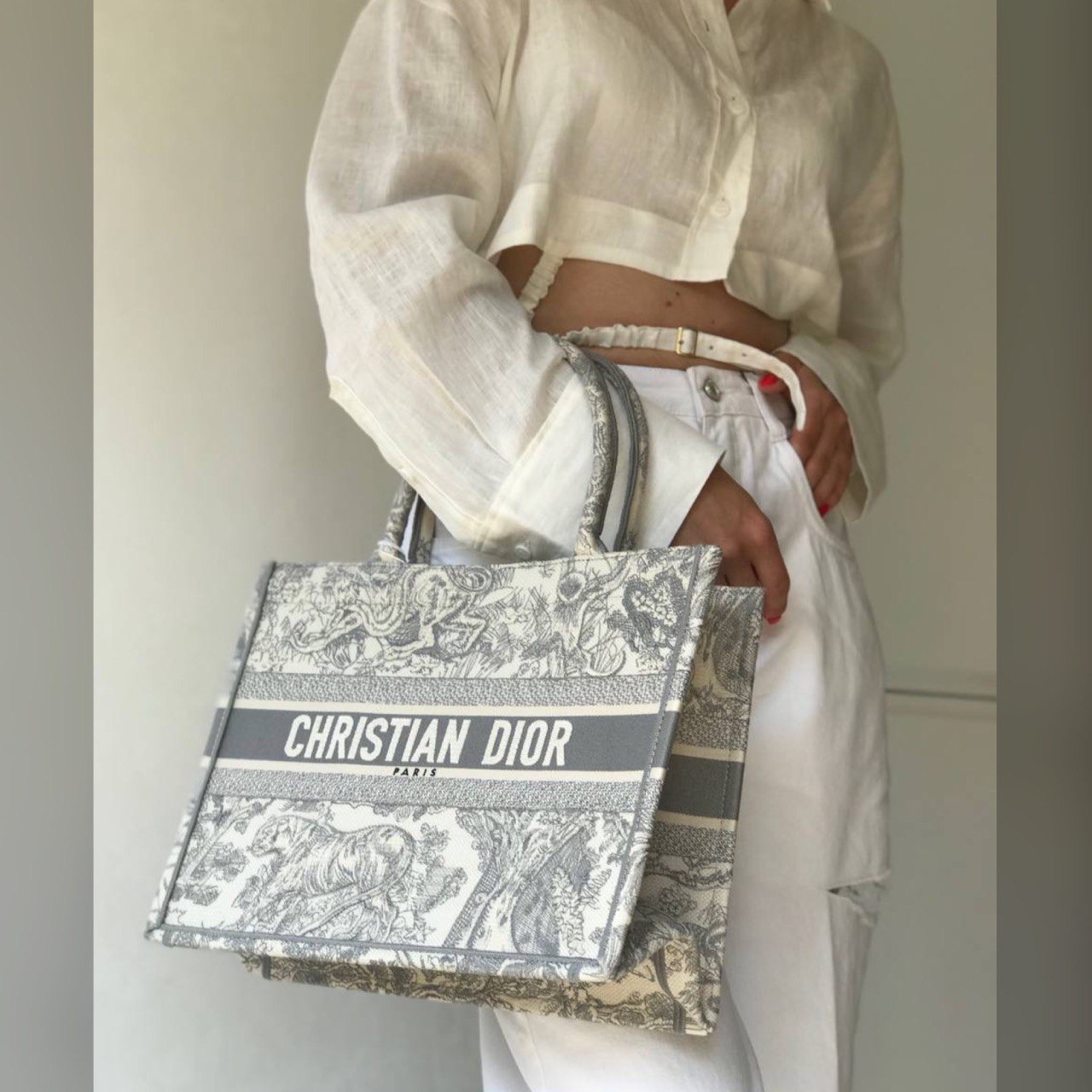 Christian Dior bag