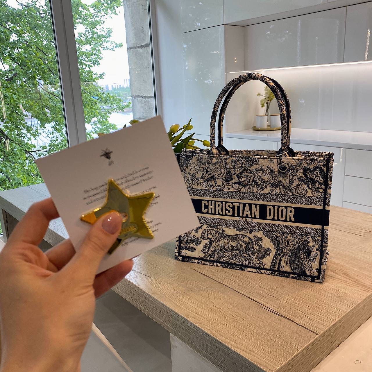 Christian Dior bag