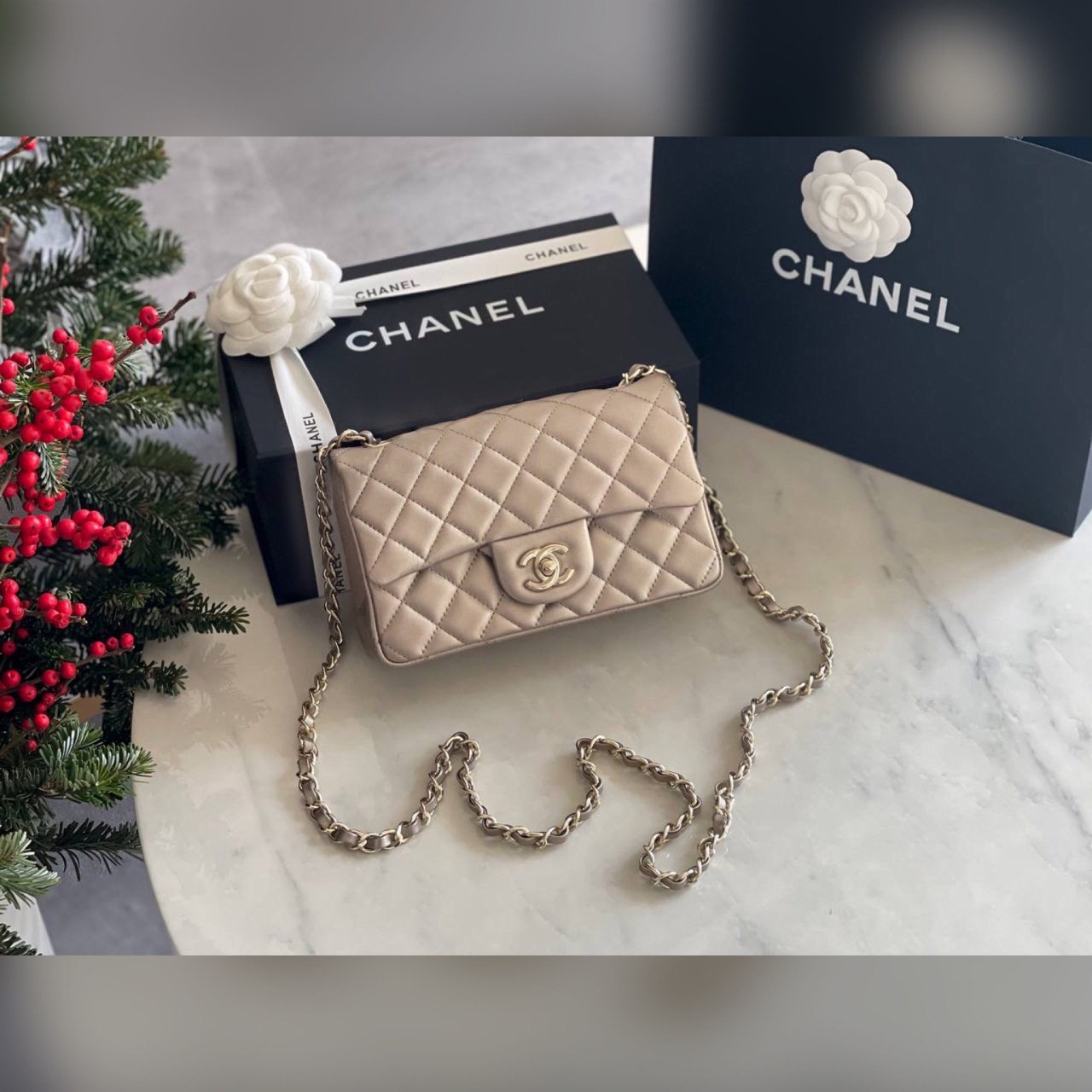 Chanel bag