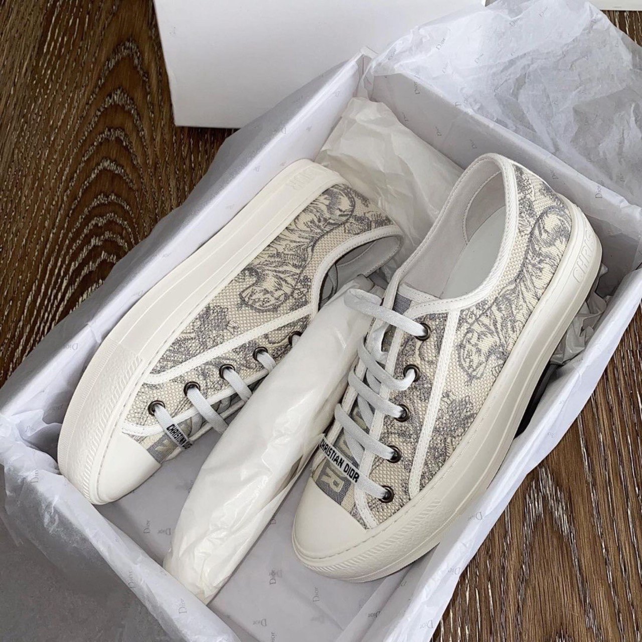 Christian Dior shoes
