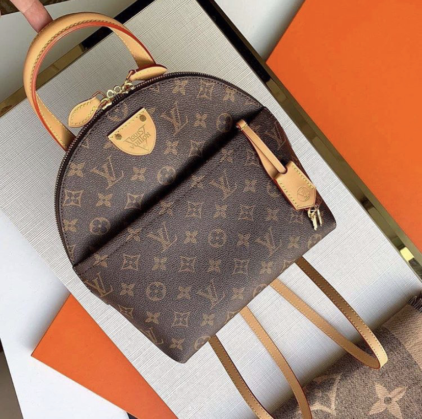 Louis Vuitton bags