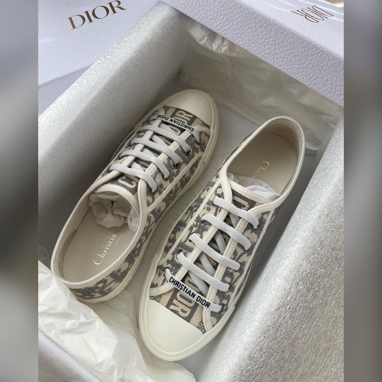 Christian Dior shoes