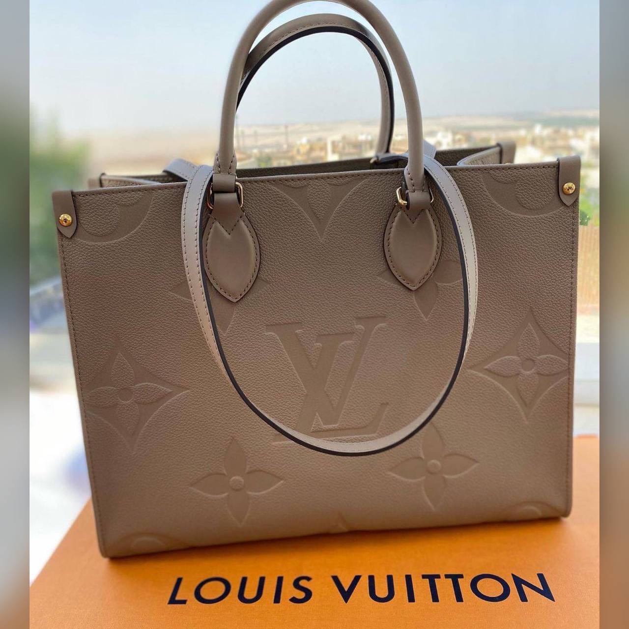 Louis Vuitton bag
