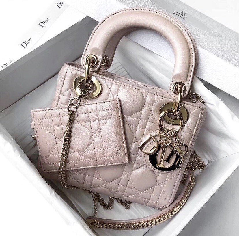 Christian Dior bag