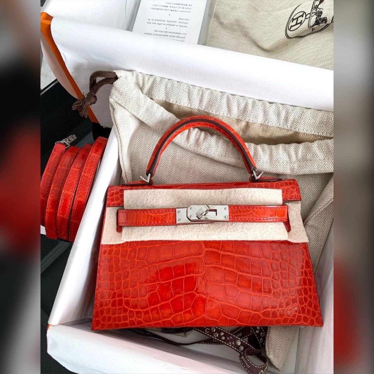 Hermes Kelly Crocodile Silver bag