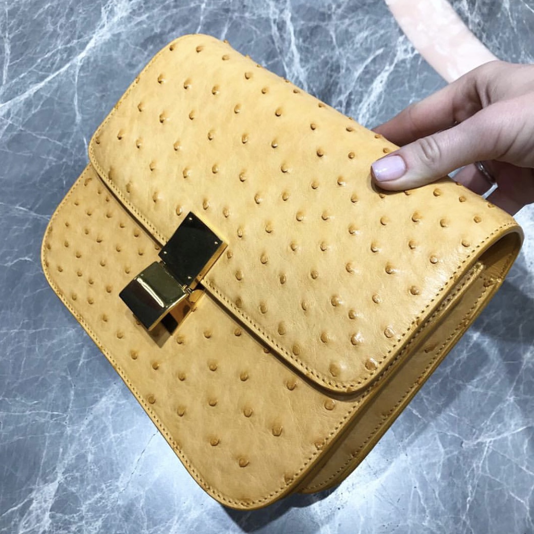 Celine Bag