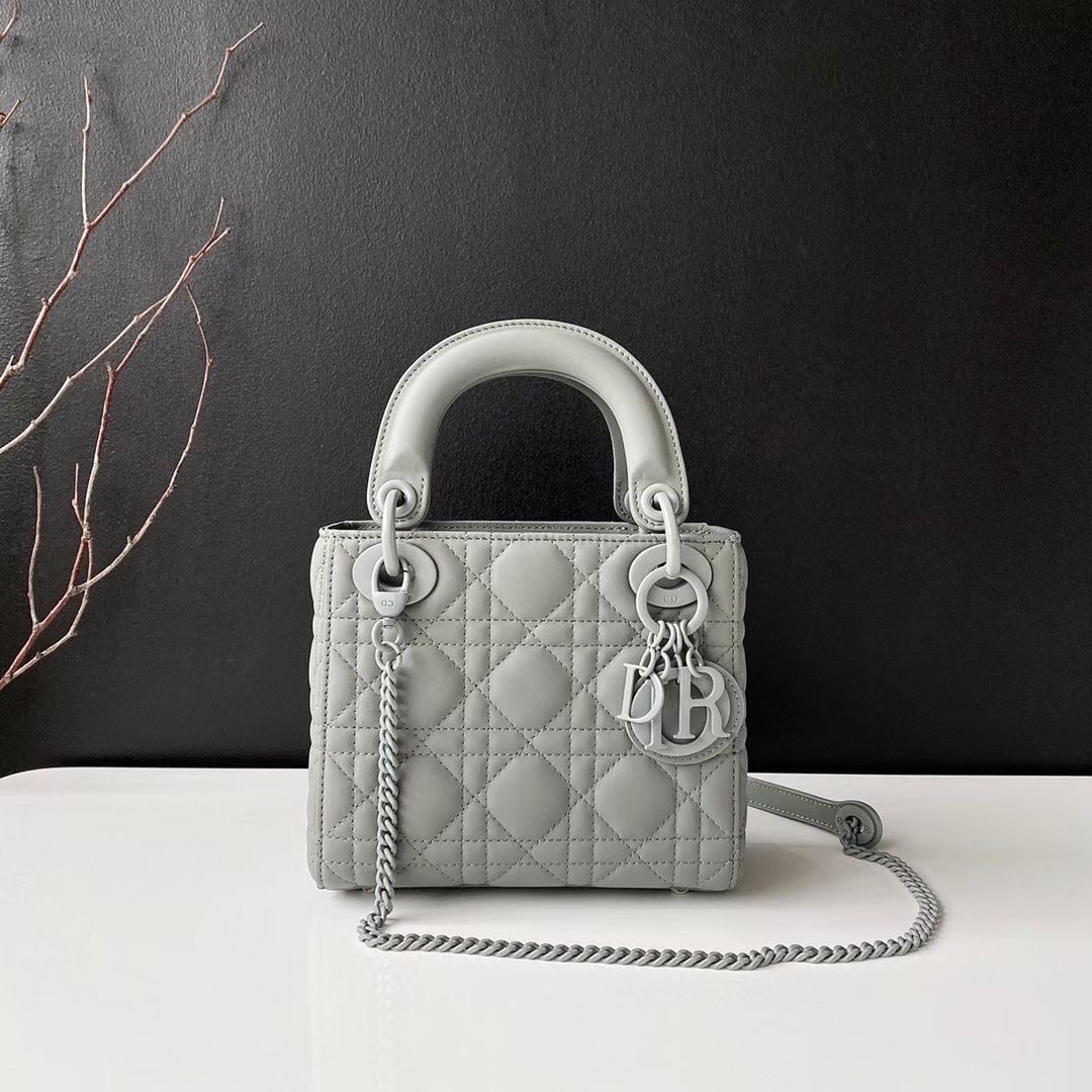 Christian Dior bags
