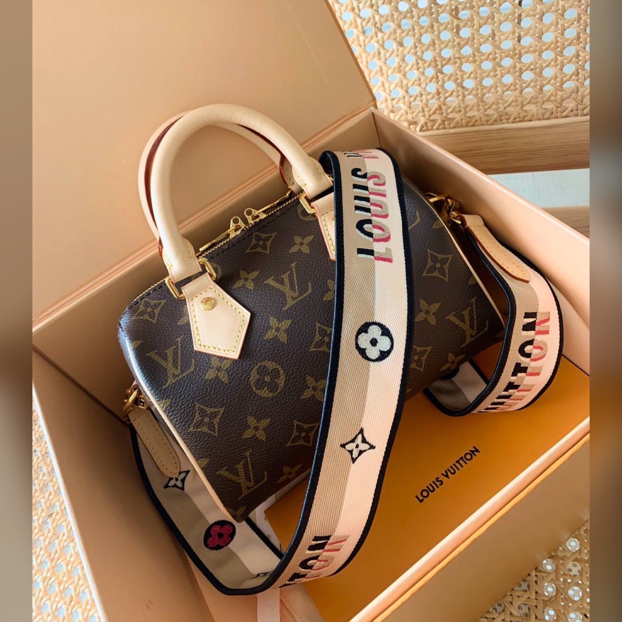 Louis Vuitton bag