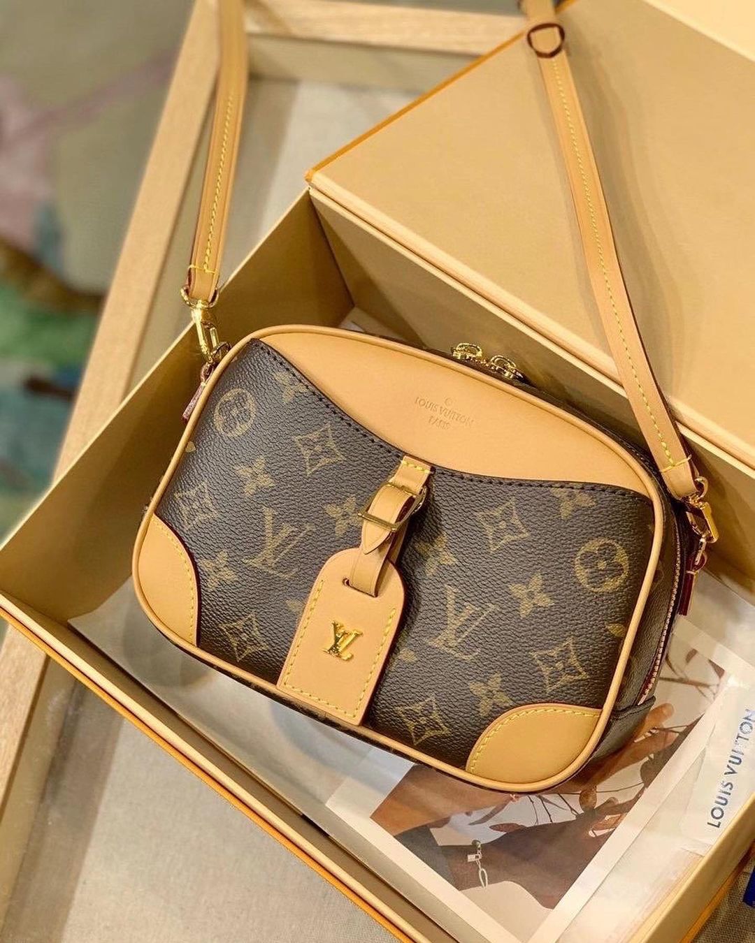 Louis Vuitton bag
